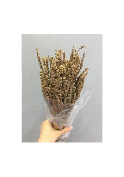 Lavanta Demeti Şoklanmış Kokulu 40-50 Cm