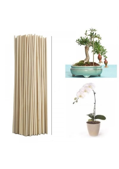 Saksı Bitkileri Destek Çubuğu 40 Cm 50ad
