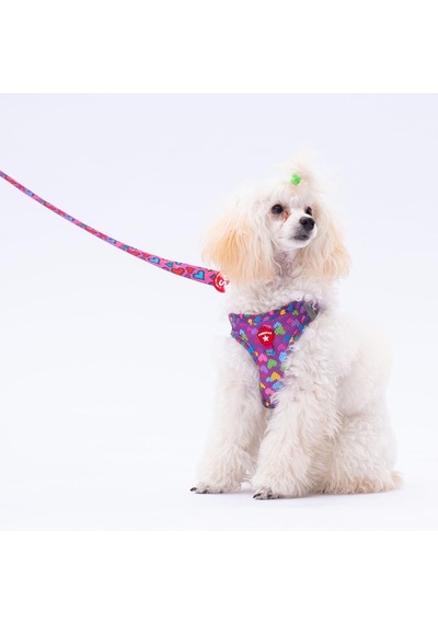Pawstar Hearts Leash Kedi Köpek Sevk & Gezdirme Kayışı Köpek Uzatma Tasması Mor