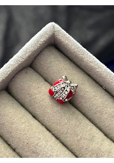 Taşlı Hediye Paketi Charm Gümüş Kaplama Kırmızı