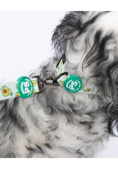 Avocado Avokado Desenli Köpek Boyun Tasması Ayarlanabilir Köpek Tasması Yeşil