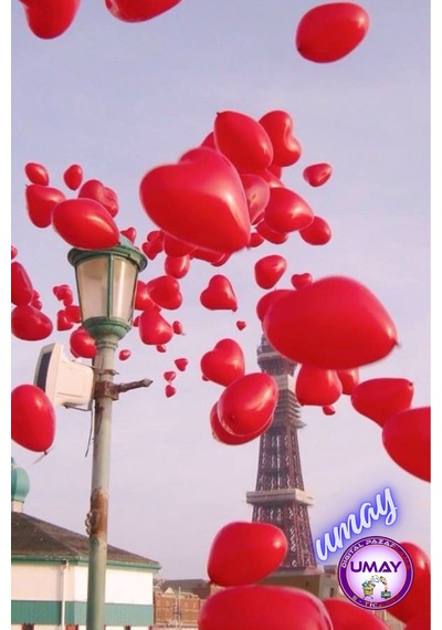 10 Adet Kırmızı Kalp Balon Lateks Helyum Uyumlu Doğum Günü & Özel Gün 10 25 Cm