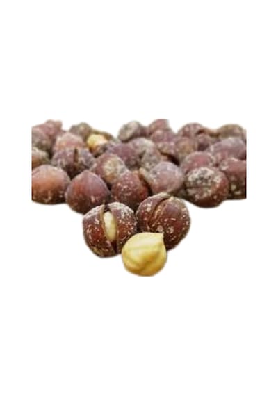 Kabuklu Foşa Fındık Kavrulmuş Tuzlu 1 KG