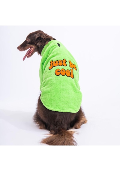 Pawstar Yeşil Sweet Orta Büyük Irk Köpek Pofuduk Sweatshirt