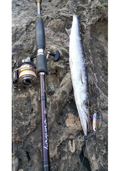 Duo Drag Metal Cast Jig 20Gr. Pha0187 / Blue Pink Sardine