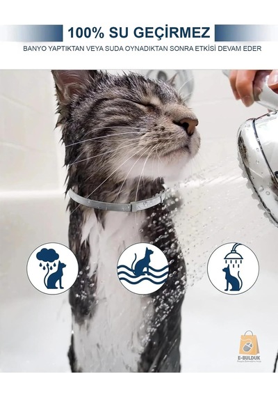 Kedi Anti Pire Kene Önleyici Tasma- 38 Cm