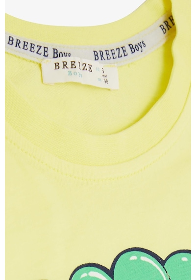 Breeze Erkek Çocuk Takım Kaykaycı Köpekcik Baskılı 1-4 Yaş, Sarı-sarı Sarı