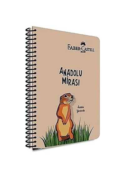 Faber Castell Defter A. Mirası Pp Kapak Spiralli 100 Yaprak Çizgili 5075000485000