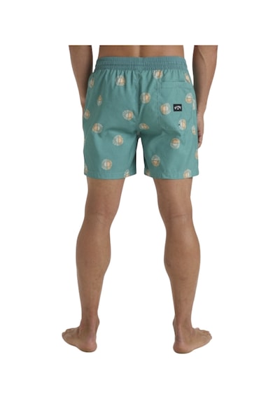 Bıllabong Billabong Vacay Lb Erkek Yeşil Volley Short Dut Mint