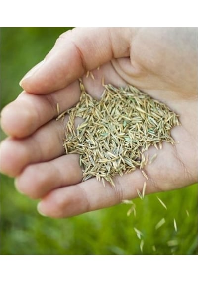 1 Kg 6lı Karışım Doğal Ata Tohum Çim Tohumu Özel Karışımlı
