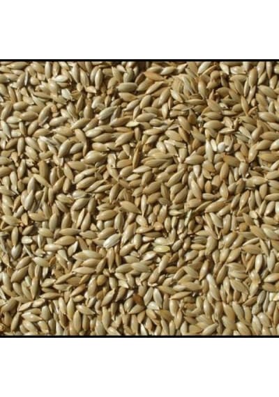 Kanarya Yemi Aspur Sade 1 Kg Çuvaldan Bölme Açık
