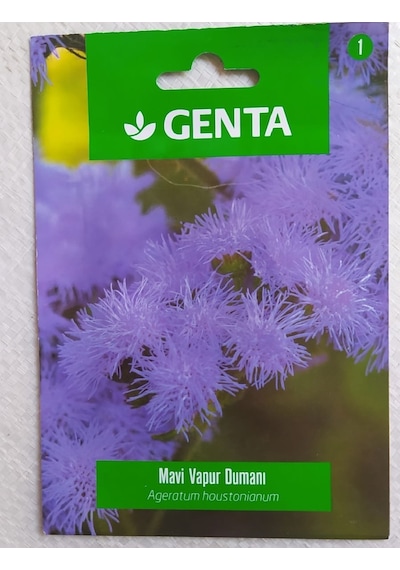 Genta Mavi Vapur Dumanı Çiçeği