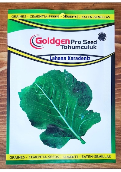 Goldgen Pro Seed Lahana Karadeniz