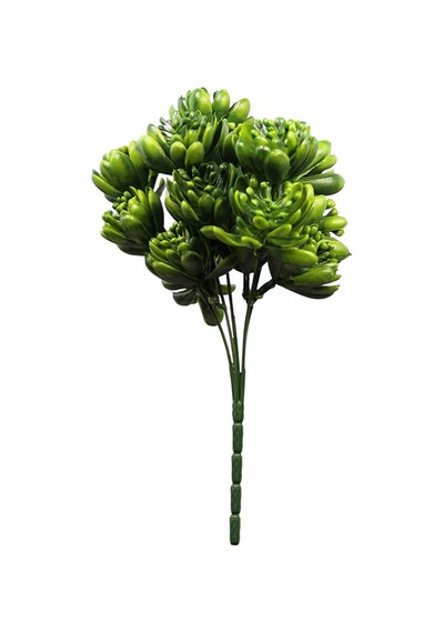 Yapay Sukulent Demeti Koyu Yeşil 30 Cm Yeşil
