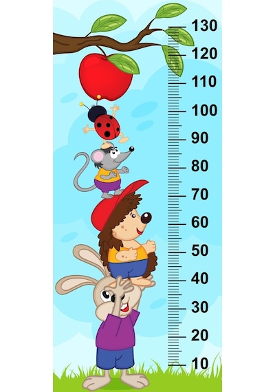 Çocuk Odası Bebek Odası Boy Ölçer Boy Cetveli Sticker Hayvanlar E