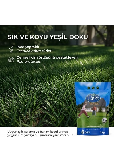 Lexroo Lippa Pro Shadow 5s Gölge Alan Çim Tohumu, Ağaç Altı Ve Yarı Gölge İçin 5 Bileşenli Karışım Standart