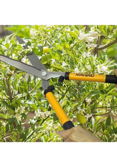 Bahçe Çim Cit Makası Ağaç Dal Kesme Budama Testere Seti Ahşap Kesme Testeresi 2 Parça Set
