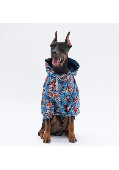 Pawstar Autumna Polarlı Orta Büyük Irk Köpek Yağmurluk
