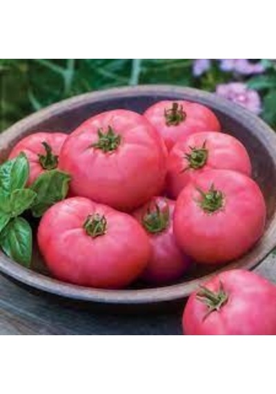 50 Adet Tohum Dev Pembe Köy Domatesi Tohumu Yeni Hasat Hediye Toh