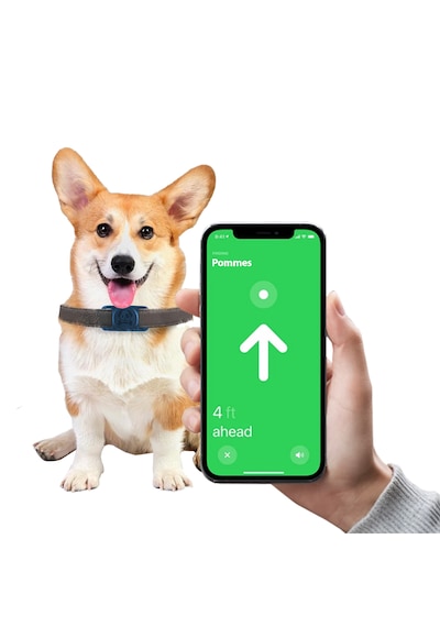 Buff Tagsafe Dogcol Taşınabilir Anahtarlık Apple Uyumlu AirTag Kılıf Blue