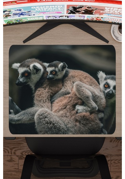 Lemur Kaymaz Dikişli Kauçuk Oyuncu Mousepad V4 - 48x40 Xl Gaming Mouse Pad Fare Altlığı