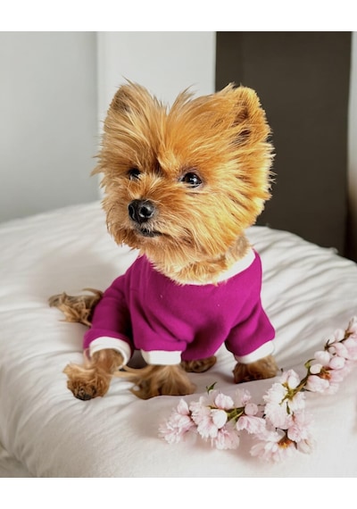 Kemique Foxie Polar Köpek Tulum Pijama