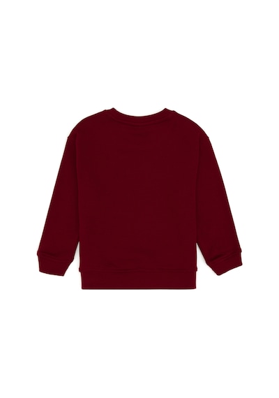 U.S. Polo Assn. Erkek Çocuk Bordo Bisiklet Yaka Sweatshirt 50313843-VR014
