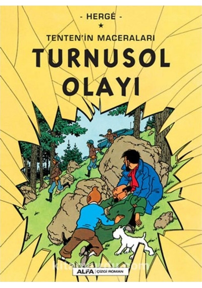 Turnusol Olayı - Tenten'in Maceraları - Herge - Alfa Yayıncılık