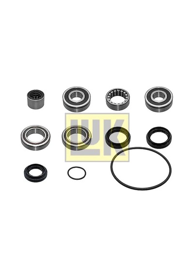 Rulman Tamir Takımı - Dacia Logan, Sandero - Schaeffler-luk-462040110