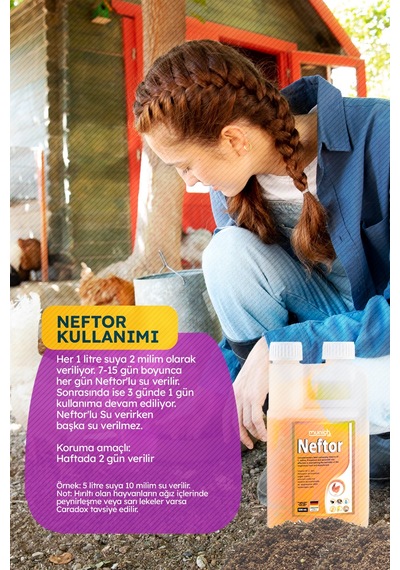 Neftor Kuşlar Için Hırıltı Ve Nefes Ürünün 500 Ml