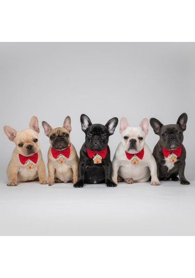 Ginger Home Küçük Irk Köpek Papyon Tasması Kırmızı Fiyonk Boyun Aksesuarı Noel Temalı Köpek Süsü