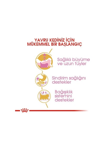 Royal Canin Kitten Persian Yavru Kedi Maması 2 KG