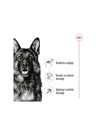 Royal Canin Shn Maxi Mature +5 Yaşlı Köpek Maması 15 KG