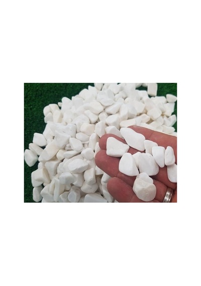 Ayrex Ekodoğa Dolomit Taş 5 Kg 1 2 Cm Beyaz Saksı Dibi Dekoratif Teraryum Taşı Bahçe 101 X 200 Diğer