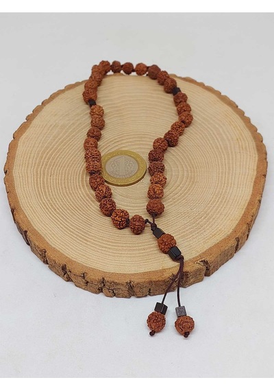 Rudraksha Tohum Düğümlü 33lük Tesbih 1758 Kahverengi