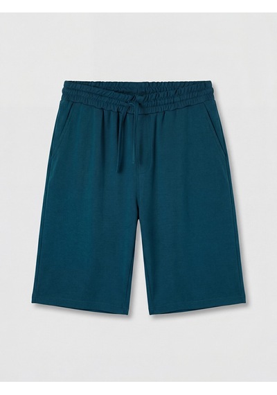 Lcwaıkıkı Classic Petrol Regular Fit Erkek Şort