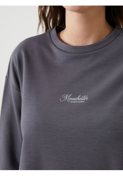 LC Waikiki Lcw Vision Antrasit Bisiklet Yaka Baskılı Oversize Kadın Sweatshirt Açık Kahverengi LC Waikiki Lcw Vision Antrasit Bisiklet Yaka Baskılı Oversize Kadın Sweatshirt Açık Kahverengi