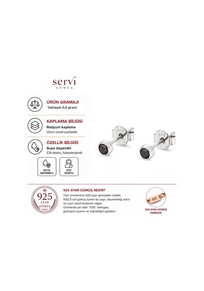 Servi 925 Ayar Gümüş 3 Mm Siyah Zirkon Taşlı Nokta Küpe-467