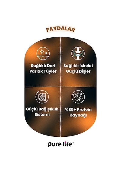Purelife Tavuklu Yavru Kedi Maması 15 KG
