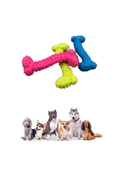 Büro Ev Evcil Hayvanı İçin Mini Platik Tırtıklı Köpek Oyuncak Kemiği