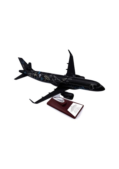 Zekupp Airbus A320, 1/100 Thy Siyah Renk, Desenli Uçak Maketi Zu-uck0113