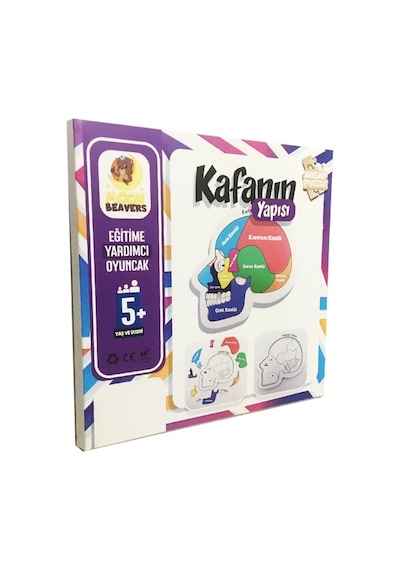 Moon Beavers Kafanın Yapısı Ahşap Eğitici Oyun