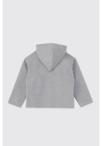 Panço Erkek Bebek Fermuarlı Gri Sweatshirt 2521BB08004