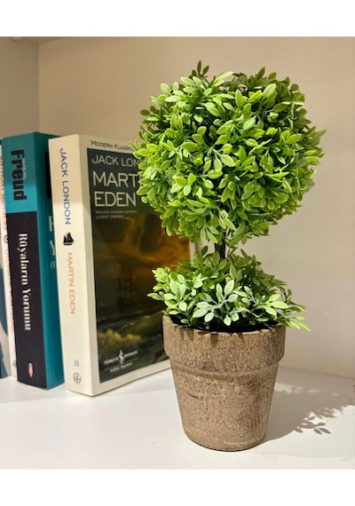 Zümrüt Yeşili İkili Topiary Aranjman 24 Cm X 10 Cm Yeşil