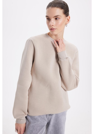 Tudors Kadın Oversize Geniş Kesim Pamuklu 3 İplik İçi Polarlı Basic Taş Bisiklet Yaka Sweatshirt-42070 Taş