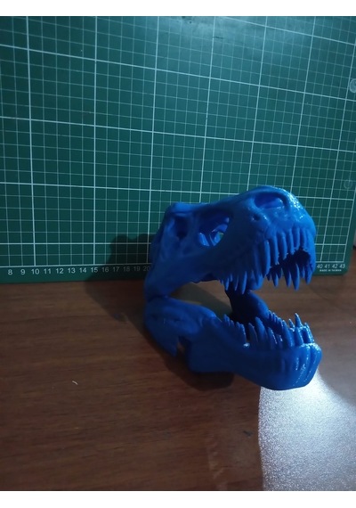 Trex İskelet Kuru Kafa Biblo Heykel