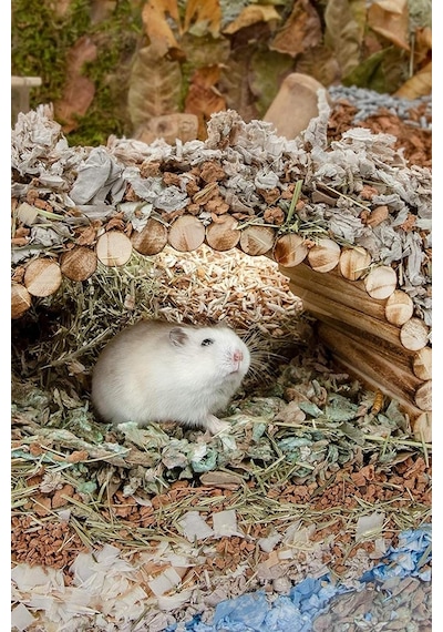 30cm X 12cm Hamster Gerbil Fare Sıçan Gine Domuzu Veya Diğer Küçük Hayvanlar Için Köprü Merdiveni