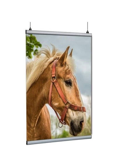 Poster Tutucu Clamp 120cm 5li Paket