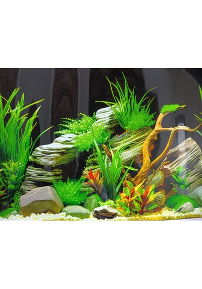 Arka Fon Gnays Kaya Uzunluk 50 Cm Yükseklik 30 Cm No:8075
