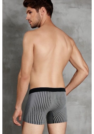 Doreanse 1866 Erkek Modal Çizgi Desenli Siyah Boxer